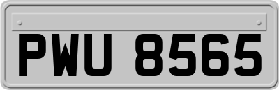 PWU8565