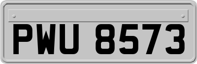 PWU8573