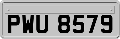 PWU8579