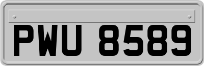 PWU8589