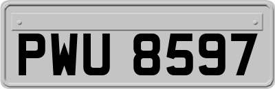 PWU8597