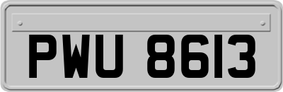 PWU8613