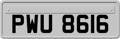 PWU8616