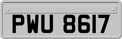 PWU8617