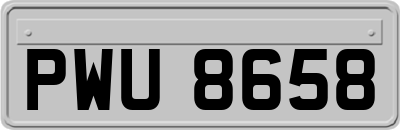 PWU8658