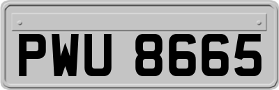 PWU8665