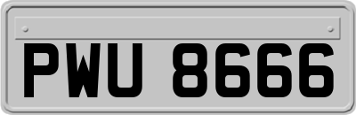 PWU8666