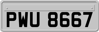 PWU8667