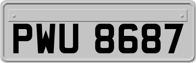 PWU8687