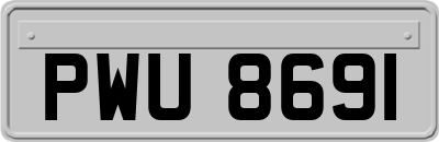 PWU8691