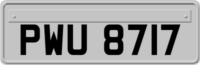 PWU8717