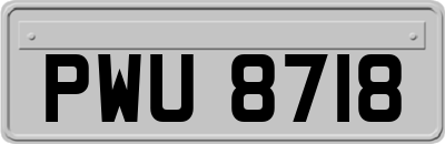 PWU8718