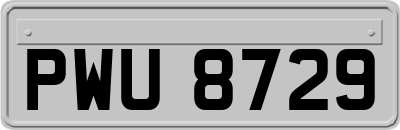 PWU8729