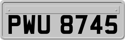 PWU8745