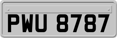 PWU8787