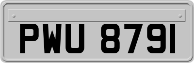 PWU8791