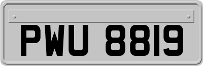 PWU8819