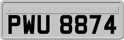 PWU8874