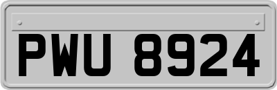 PWU8924
