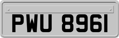 PWU8961