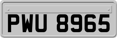 PWU8965