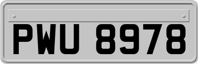 PWU8978