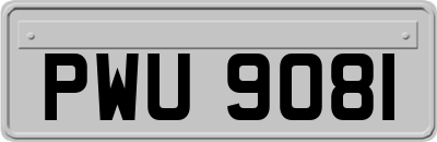 PWU9081