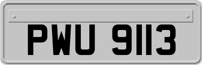 PWU9113