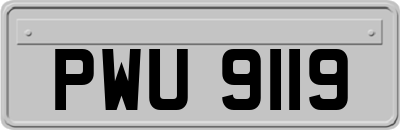PWU9119