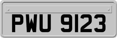 PWU9123