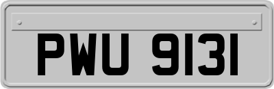 PWU9131