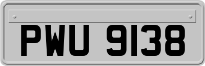 PWU9138