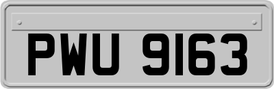 PWU9163