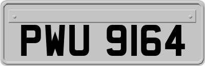 PWU9164
