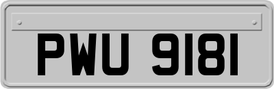 PWU9181