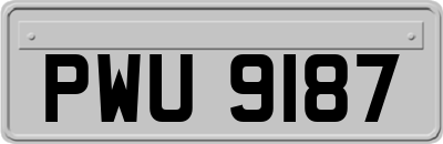 PWU9187