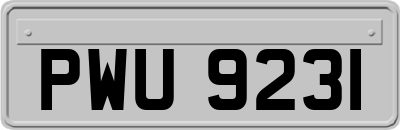 PWU9231