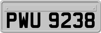 PWU9238