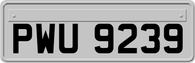 PWU9239