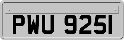 PWU9251