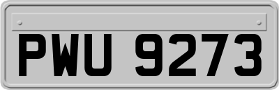 PWU9273