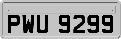 PWU9299