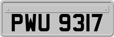 PWU9317