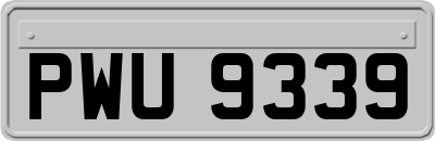 PWU9339