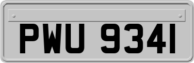 PWU9341