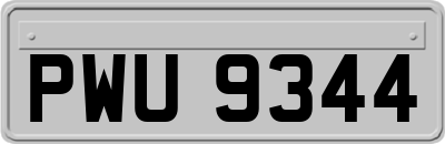 PWU9344