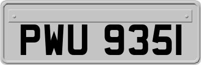 PWU9351