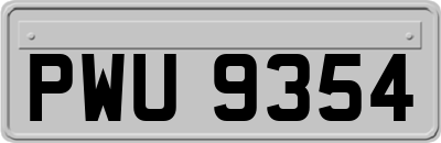 PWU9354