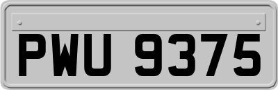 PWU9375