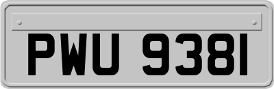 PWU9381